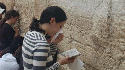 娱乐圈的吃瓜鹅