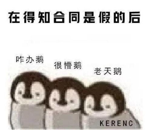 娱乐吃瓜酱情感文案图片